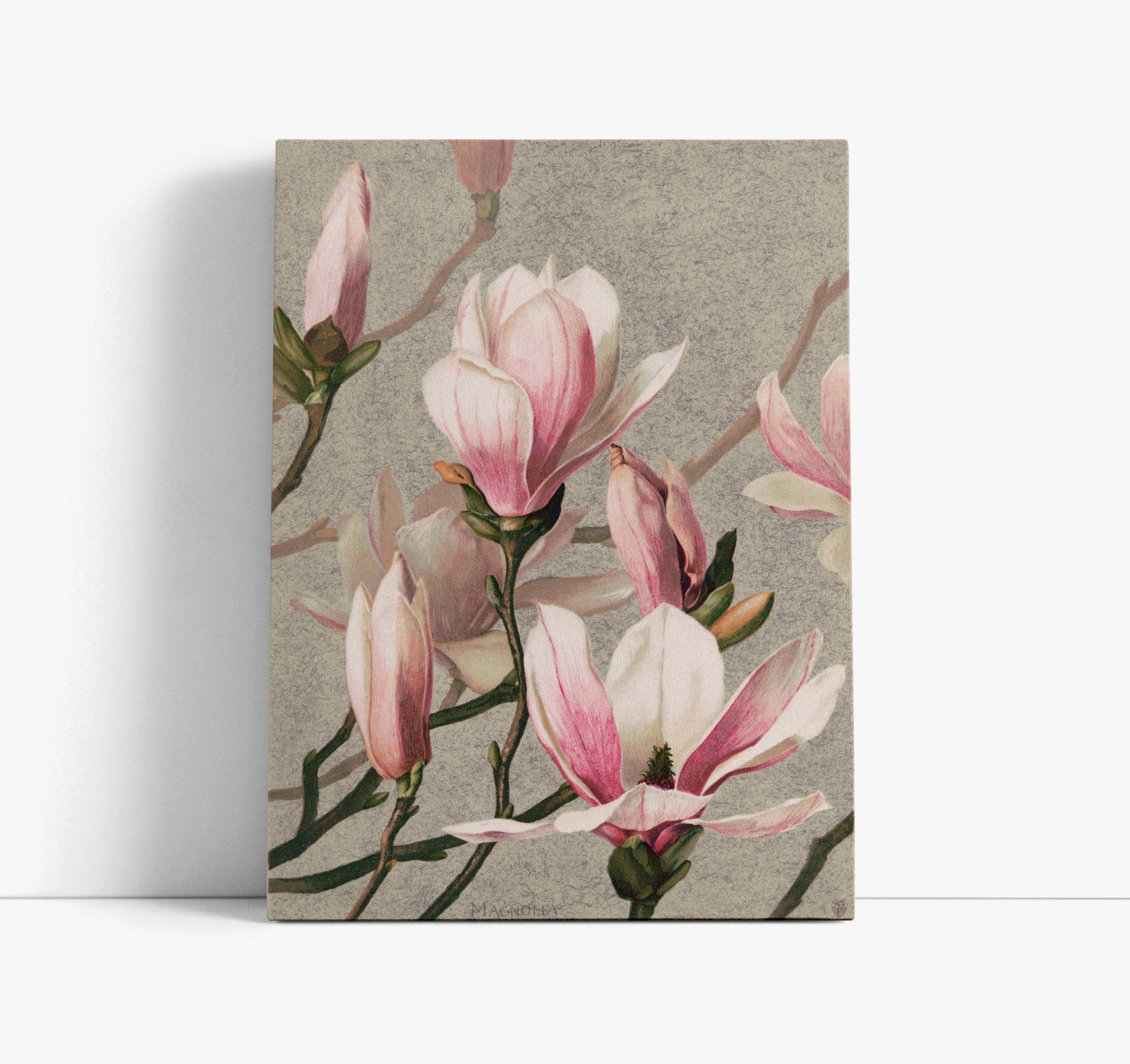 Magnolia (1886) by L. Prang & Co Wall Art Print - Artrise