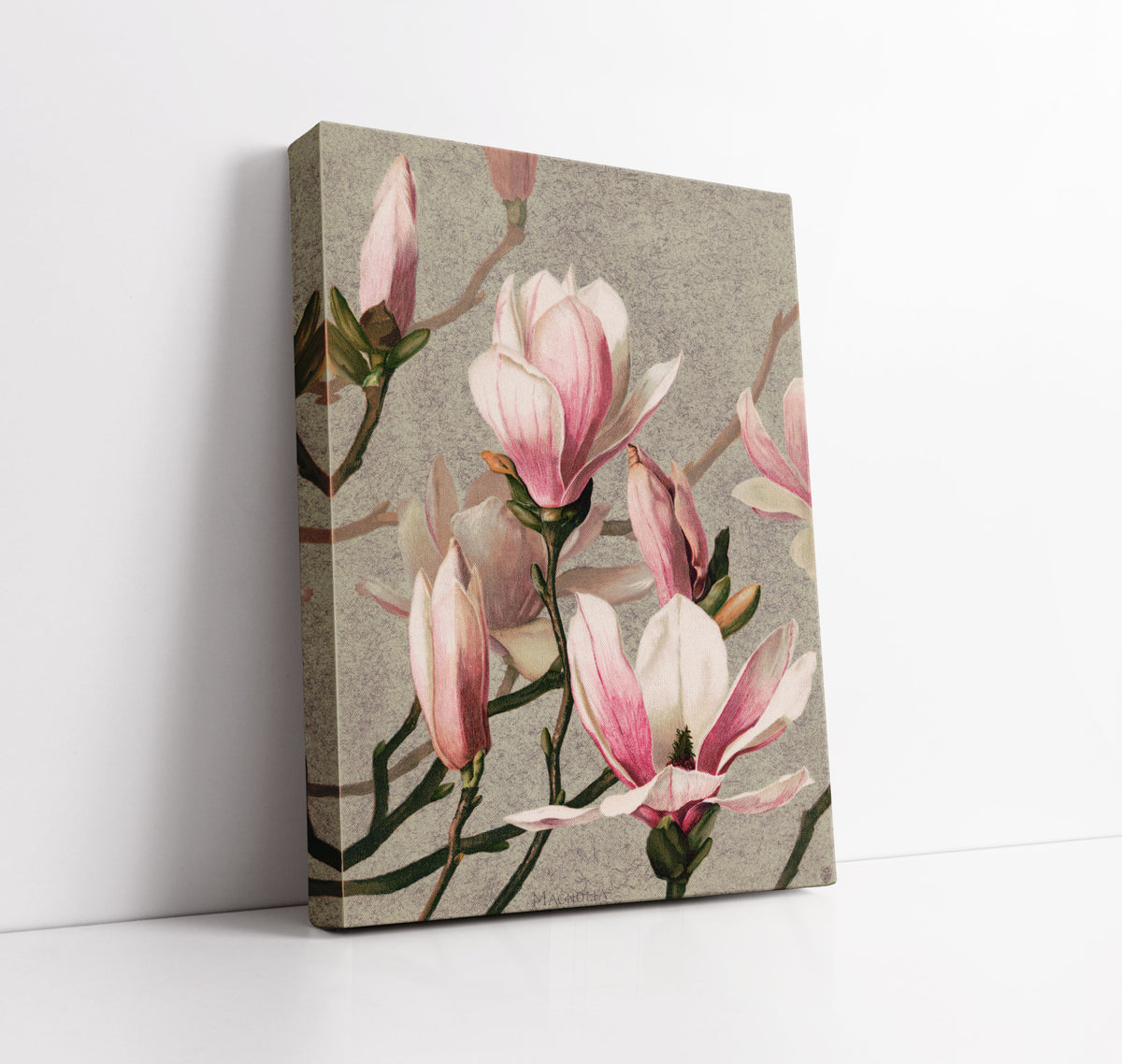 Magnolia (1886) by L. Prang & Co Wall Art Print - Artrise